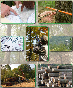 Consulting Forester Directory cover