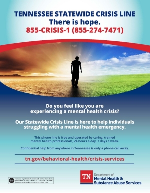 New Crisis Flyer July 2018