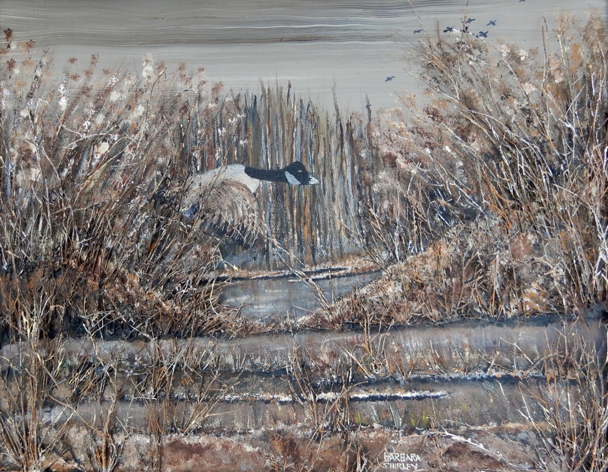 A fairly realistic drawing portrays a goose about to take flight from a marshland, in a landscape with water, reeds and grasses. The colors of the artwork are browns, white, grays and other fall or winter colors.