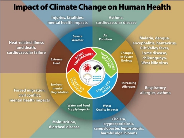 Impacts of Climate Change on Human Health graphic