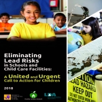 Eliminating Lead Risks cover page