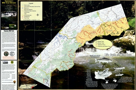 Tennessee's Wild Trout Streams