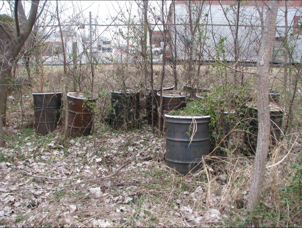 Twelve rusted drums storing unlabelled waste in an overgrown, fenced-in lot, featuring vines, leafless trees, and dead leaves on the forest floor. 