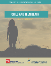 Child and Teen Death Data Snapshot_Page_1