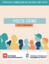 Youth Crime Data Snapshot_Page_01