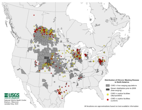 Distribution of Chronic Wasting Disease in North America, updated June 19, 2021.  (Credit: Bryan Richards, USGS National Wildlife Health Center. Public domain.)